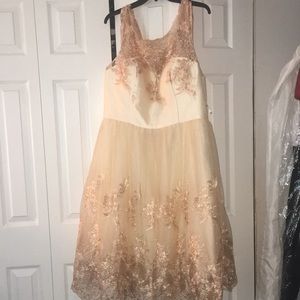 Chi Chi Rose Gold Embroidered Dress Size 18 NWT
